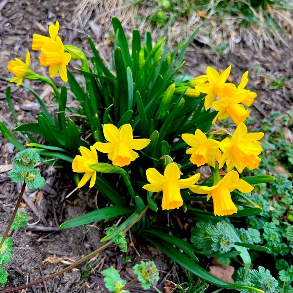 Meet your Posher, Shawn